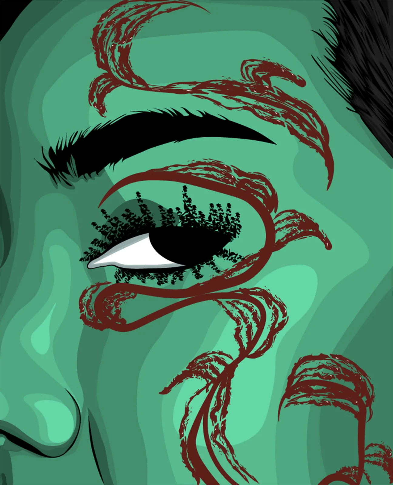 The eye, Illustration